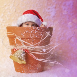 Christmas elf